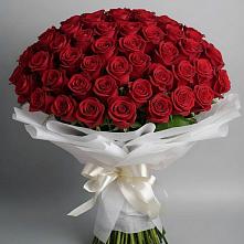 Букет 101 Красная роза Блэк Мэджик в Сергиевское
