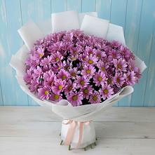 Букет цветов из:  Хризантемы в Сергиевское