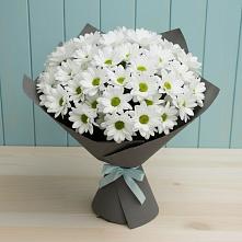 Букет цветов из:  Хризантемы #REPLACE_PRED# Сергиевское
