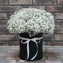 Цветочная композиция из Гипсофила в шляпной коробке в Сергиевское