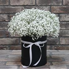 Цветочная композиция из Гипсофила в шляпной коробке в Сергиевское
