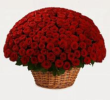 Премиум букет из: Розы в Сергиевское