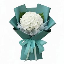Букет цветов из:  Гортензия в Сергиевское